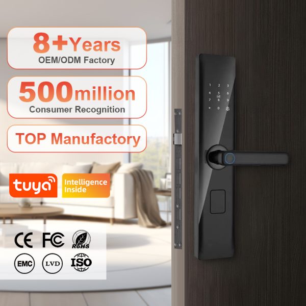 Style Competitive Price Tuya Smart Lock App Password Card Fingerprint Handle Rechargeable