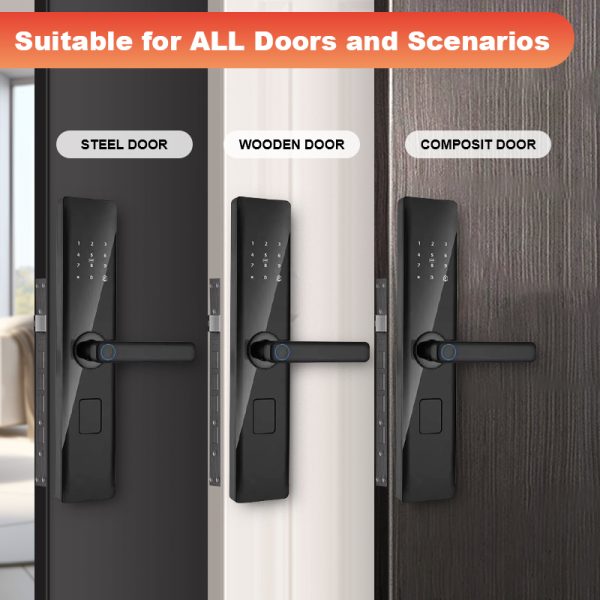 Style Competitive Price Tuya Smart Lock App Password Card Fingerprint Handle Rechargeable