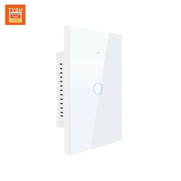 TYSH Eu 1 Gang Remote Control Touch Matter Smart Home Device Wifi Wall Timer Voice Smart Home Switch Compatible With Alexa